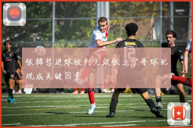 张稀哲进球被判无效张玉宁手球犯规成关键因素